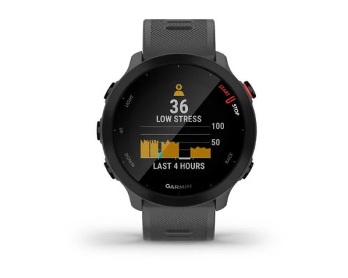 Умные часы Garmin FORERUNNER® 55 серые